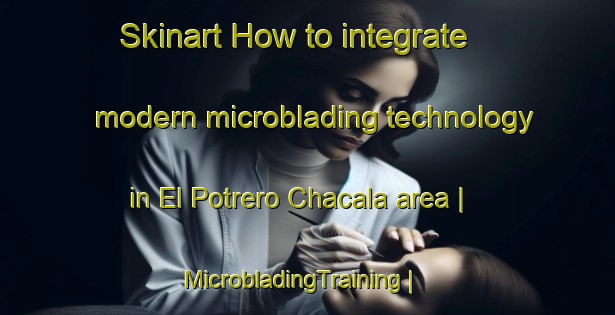 Skinart How to integrate modern microblading technology in El Potrero Chacala area | MicrobladingTraining | MicrobladingClasses | SkinartTraining-Mexico